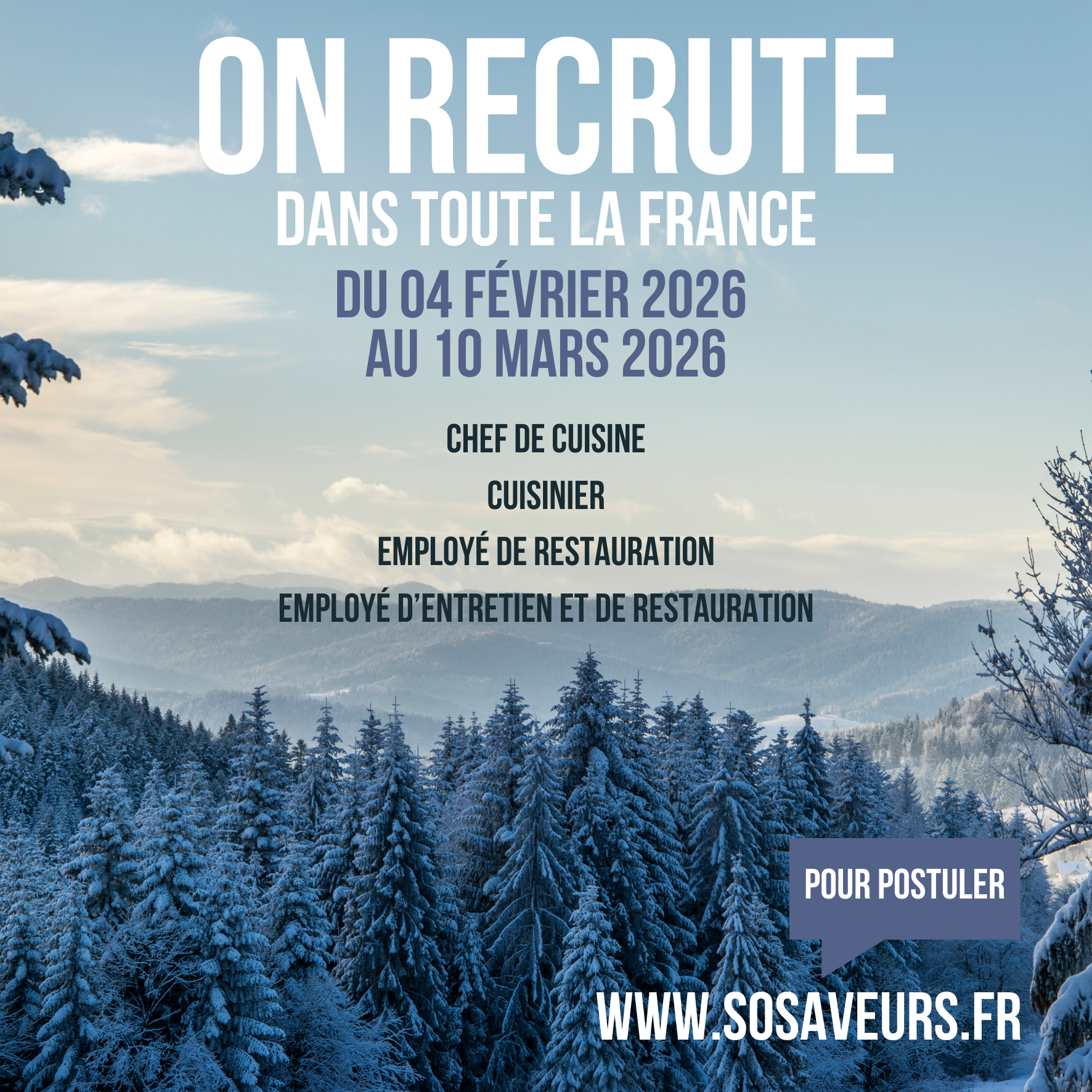 Template RS FB et LKD 1